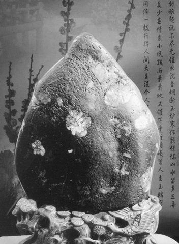 牡丹奇石象征著美滿和幸福