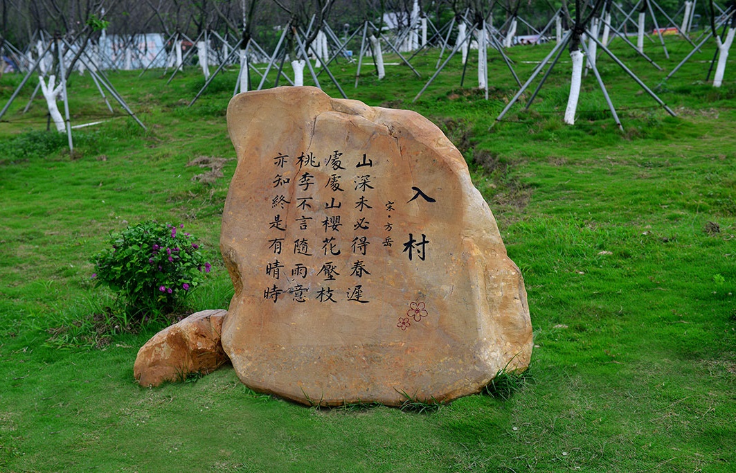 武漢草坪石